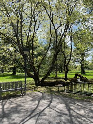 Vanderbilt Mansion National Historic Site by null