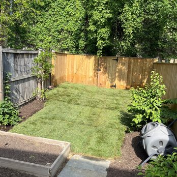 District Landscapes - New sod in the backyard - District Landscapes also gave us mulch beds to incorporate our existing plants! - Landscaping Near Me