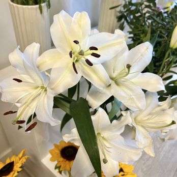 Luxe Flower Bar - Lilies - Coffee & Tea Near Me - Morgan Hill, California Luxe Flower Bar - Lilies - Coffee & Tea Near Me - Morgan Hill, California