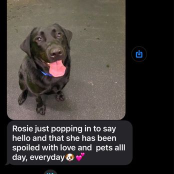 Dogtopia - Miramar - Texts from Dogtopia - Pet Groomers Near Me - San Diego, California