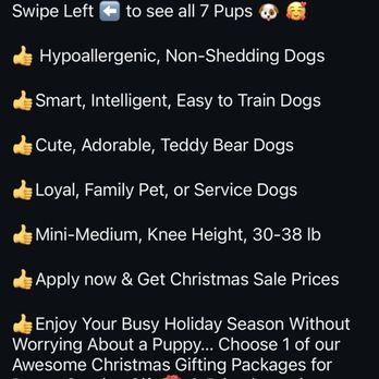 Beautiful Doodles and Pets - Pet Breeders Near Me