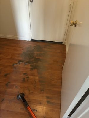 Alex House Cleaning on Yelp
