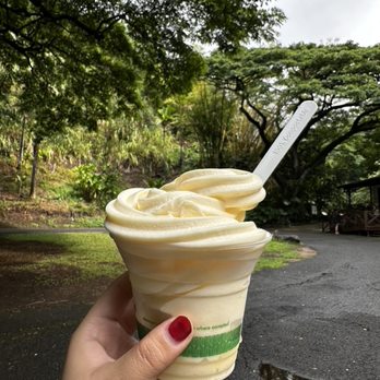 Waimea Valley - Venues & Event Spaces Near Me - Haleiwa, Hawaii Waimea Valley - Venues & Event Spaces Near Me - Haleiwa, Hawaii