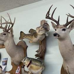 Parkdale Barber Shop - Decor!