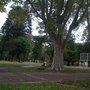 Photo of Plaza Saavedra