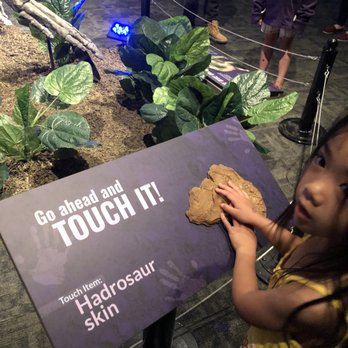 Telus World of Science - Museums Near Me - Edmonton, Alberta Telus World of Science - Museums Near Me - Edmonton, Alberta