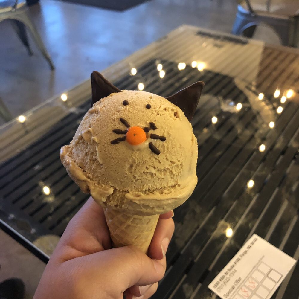 Salted caramel cat Salted caramel cat