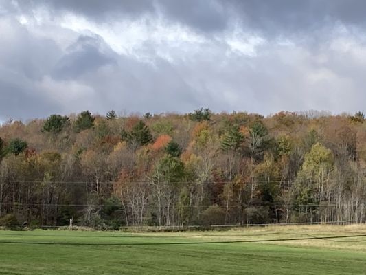 Morse Farm Maple Sugarworks by null