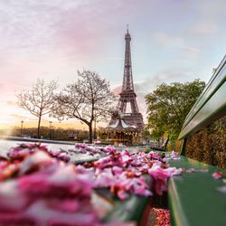 Go-today - Paris, France