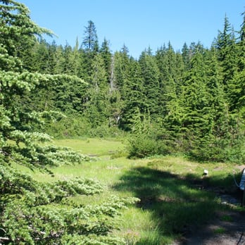 Mt Seymour - Hiking Near Me - North Vancouver, British Columbia