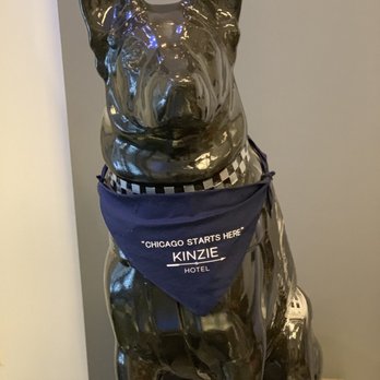 Kinzie Hotel - The Kinzie dog - Hotels Near Me - Chicago, Illinois