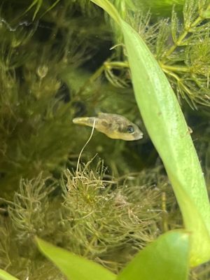 ELEGANT REEF TROPICAL FISH STUDIO Updated October 2024 17 Photos & 25 Reviews 301 W