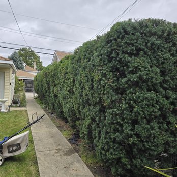 Mowers and Rakers - after - Lawn Services Near Me - Chicago, Illinois Mowers and Rakers - after - Lawn Services Near Me - Chicago, Illinois