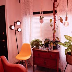 MOD Hair Salon - Our lovely plants