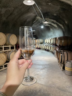 Baldacci Family Vineyards by null