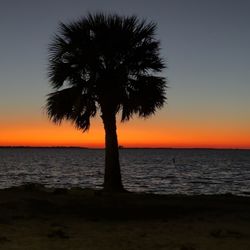 Crystal Beach - Sunset at Crystal Beach, Palm Harbor, Florida