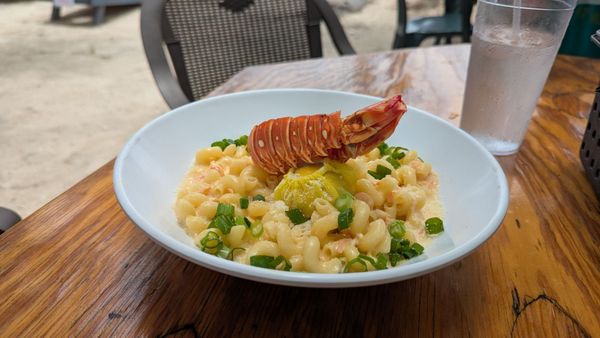 Hungry Tarpon Restaurant by null