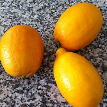 Urth Farms - Meyer lemons - Farmers Market Near Me - New Britain, Connecticut Urth Farms - Meyer lemons - Farmers Market Near Me - New Britain, Connecticut