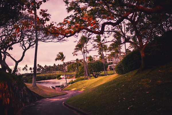 Kapalua Bay Beach by null