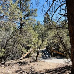 Cougar Crest Trail