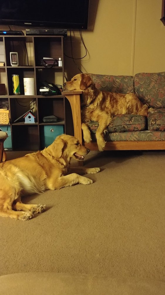 PANANAS KENNELS Updated September 2024 10 Photos Coulee City