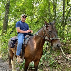 Chunky Gal Stables - My husband