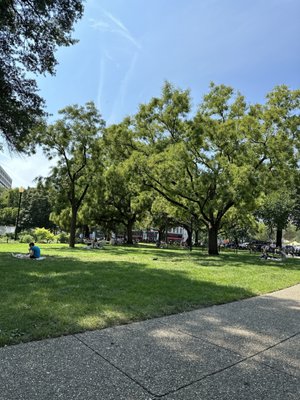 Dupont Circle by null