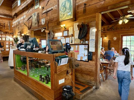 Longhorn Cattle Company by null