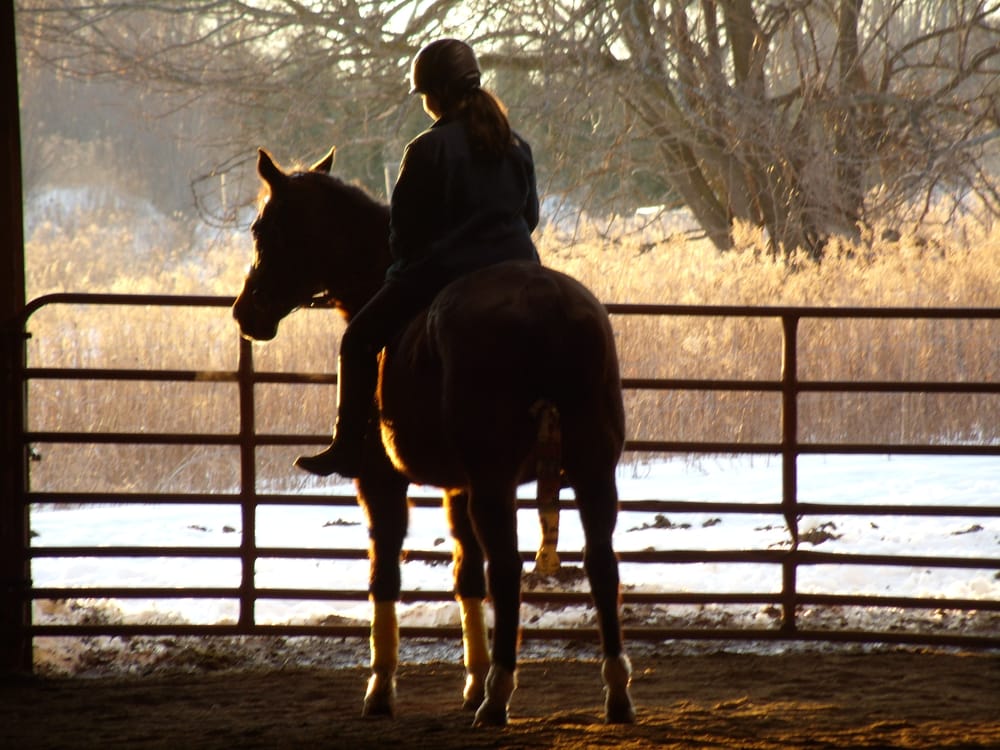 Happy Hooves - equestrian in Dexter, MI