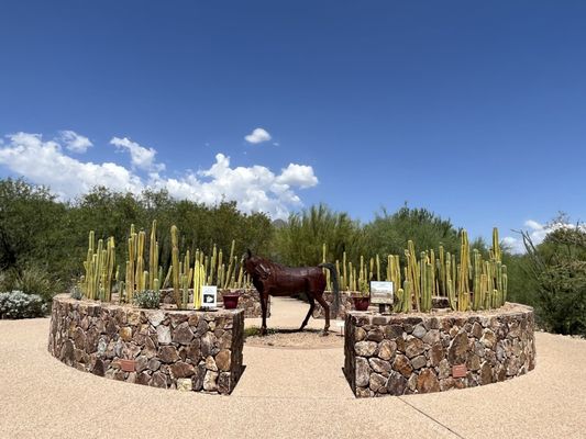 Tohono Chul | Gardens, Galleries, and Bistro by null