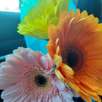 Albuquerque Florist - Soooo pretty - Florists Near Me - Albuquerque, New Mexico