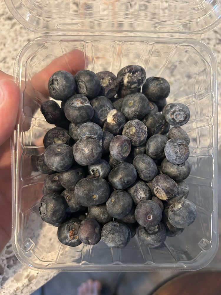 DILLONS Updated August 2024 22 Reviews 1624 N Rock Rd, Derby