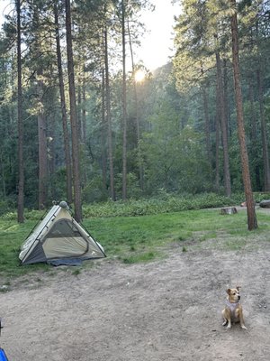 Cave Springs Campground by null