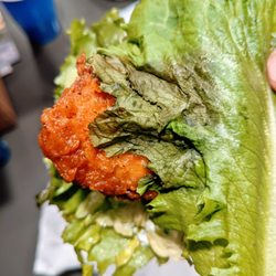 Shake Shack San Antonio, Park North - Wilted Lettuce. Woof.