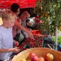 Photo of North Andover Farmer's Market