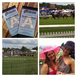 Ellerslie Racecourse - A day at the races; horse watching, betting, dressing up, drinking.
