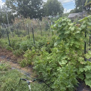 Este Garden - Nurseries & Gardening Near Me - Austin, Texas