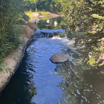 The Japanese Garden - Botanical Gardens Near Me - Van Nuys, California