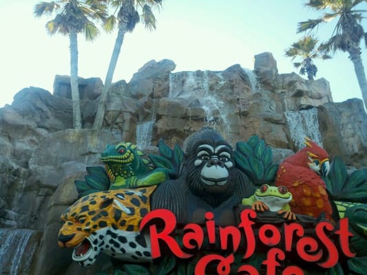 Rainforest Cafe by null