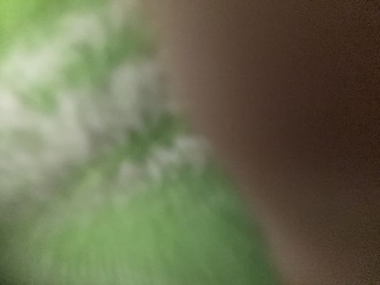 Sammy Waldrop Income Tax Preparer and Bookkeeper by null