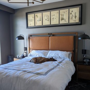 Thompson Savannah - Pet friendly rooms (no pet fee) - Hotels Near Me - Savannah, Georgia