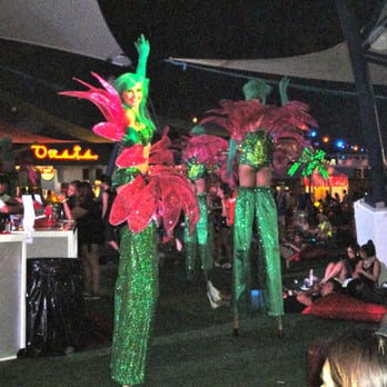 Electric Daisy Carnival - EDC LV 2016 Performers on Stilts - Festivals Near Me - Clark, Nevada Electric Daisy Carnival - EDC LV 2016 Performers on Stilts - Festivals Near Me - Clark, Nevada