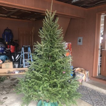 Darling's Tree Farm - Waiting for the ice to melt - Christmas Trees Near Me - Clifton Springs, New York