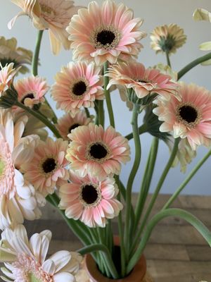 Flower Outlet & Gifts by null