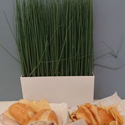 Super Duper Grub Cafe - The sandwiches in artistic display