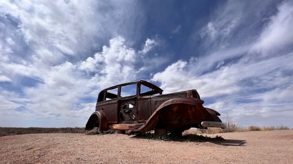 Petrified Forest National Wilderness Area by null