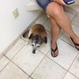 Photo of Gehrman Animal Hospital