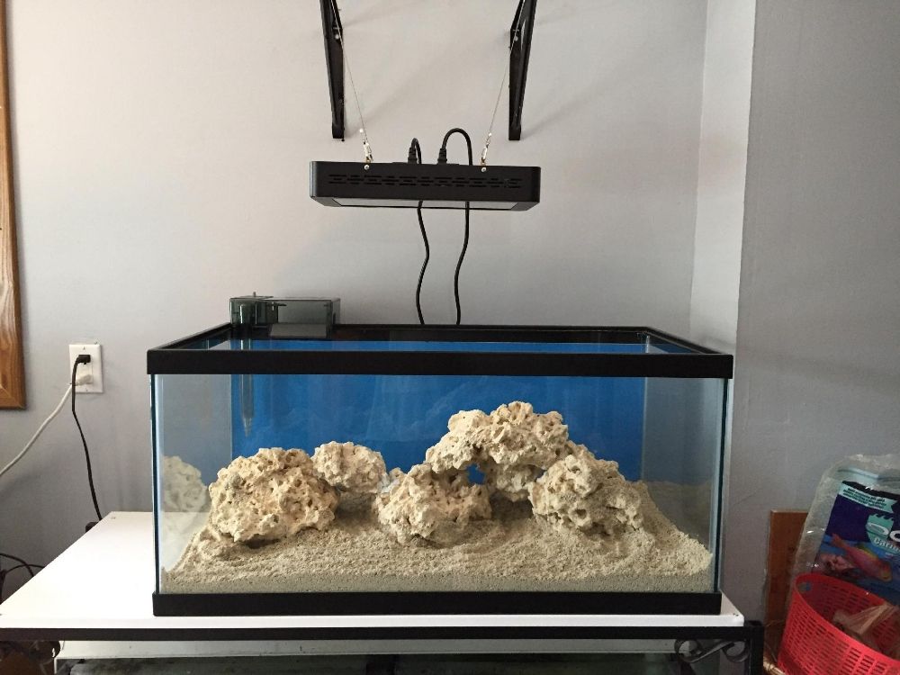 K&K AQUATICS Request Information 12 Photos Irvington, New Jersey