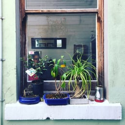 A lovely window out the back A lovely window out the back