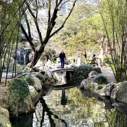 Chinese Garden of Friendship